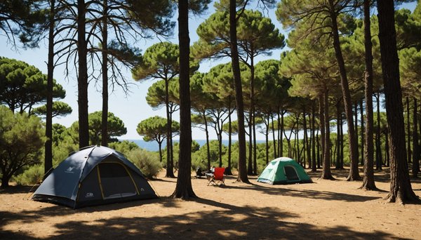 Découvrez les meilleurs campings à saint laurent d'aigouze entre mer et nature